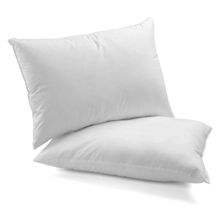 Ludgershall Down Alternative Medium Pillow (Set of 2)