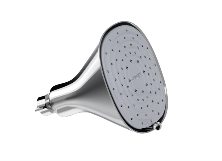 Canopy Filtered Shower Head