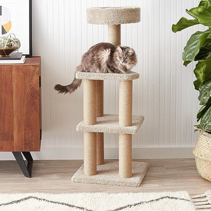 Amazon Basics Cat Tree Tower