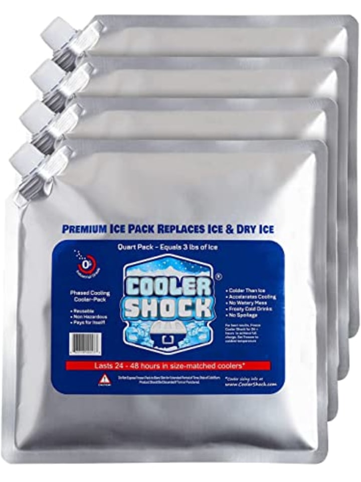 The 8 best ice packs for coolers in 2024