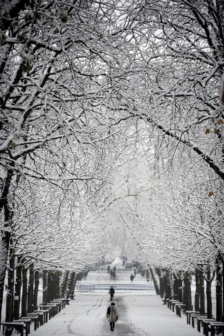 Черно Белое Фото Снега