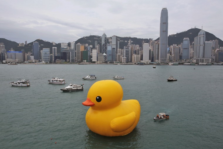 Wichita+Welcomes+Giant+Rubber+Duckie+to+Its+Waters