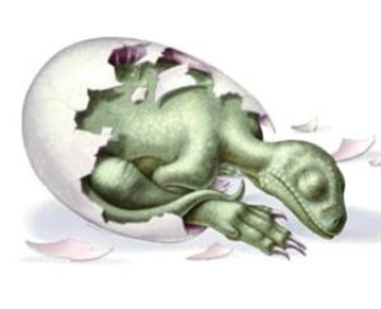 Image: Dinosaur embryo