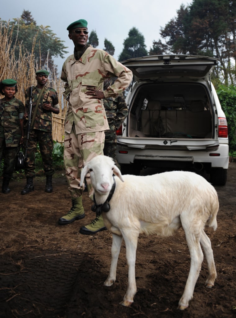 Renegade army Gen. Laurent Nkunda stands next to his pet goat "Betty" moments after arriving in his vehicle at his headquarters camp high up in the mountains of North Kivu in Congo on Monday.