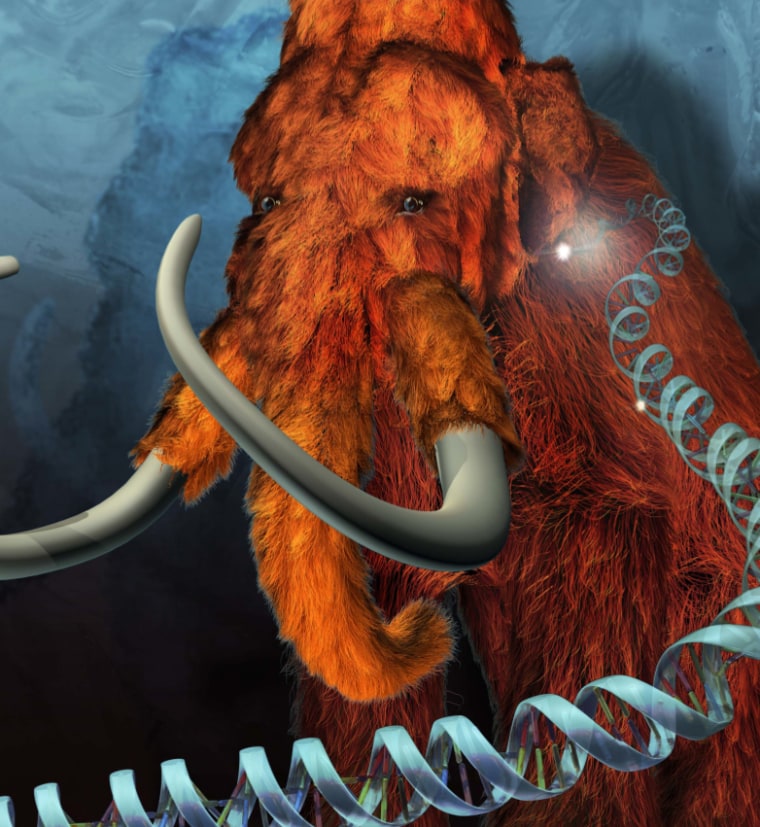 Illustration: Mammoth and DNA
