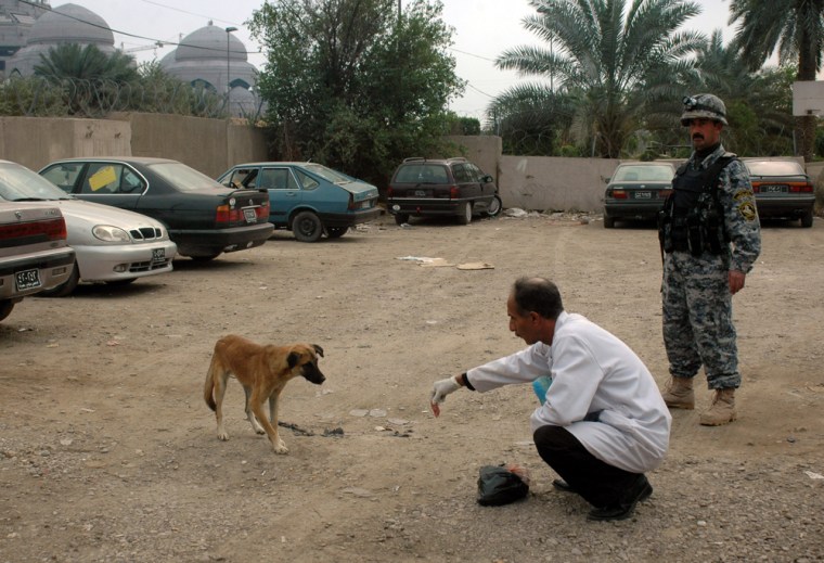 Image: Dr. Mazin Hameed, a veterinarian, uses poisoned meat to lure a stray dog in the Mansour neighborhood of Baghdad