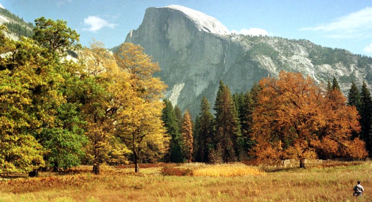 Image: A view of Half Dome from the valley floor of Yosemite National Park