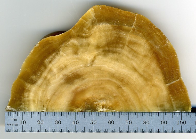 Image: Stalagmite