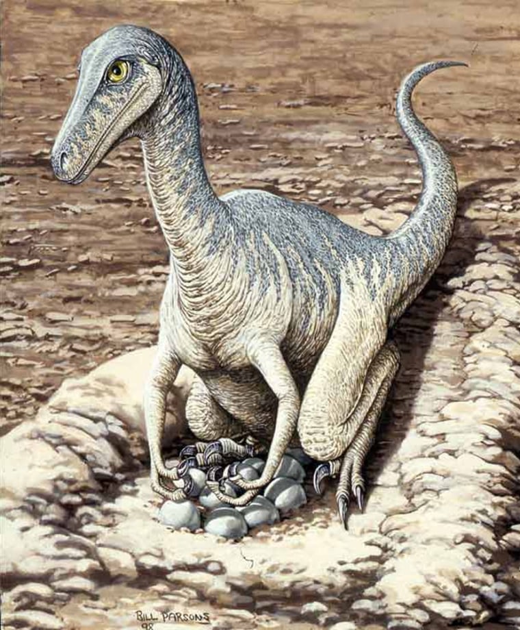 Image: Dinosaur