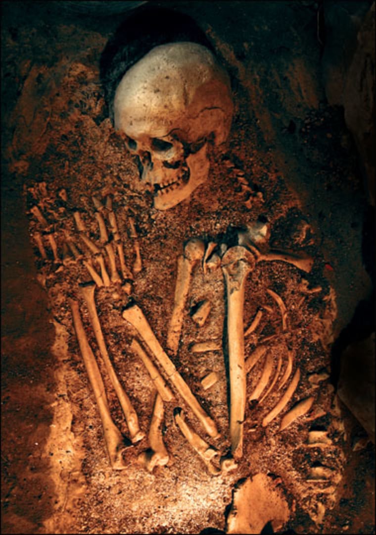 Image: Neanderthal skeleton