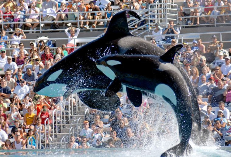 Image: San Diego, SeaWorld
