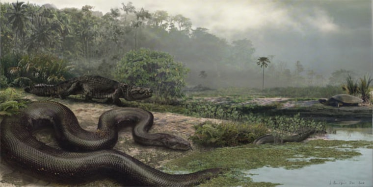 The extinct giant snake (shown in an artist's reconstruction) would have sent even Hollywood's anacondas slithering away. Credit: Jason Bourque.