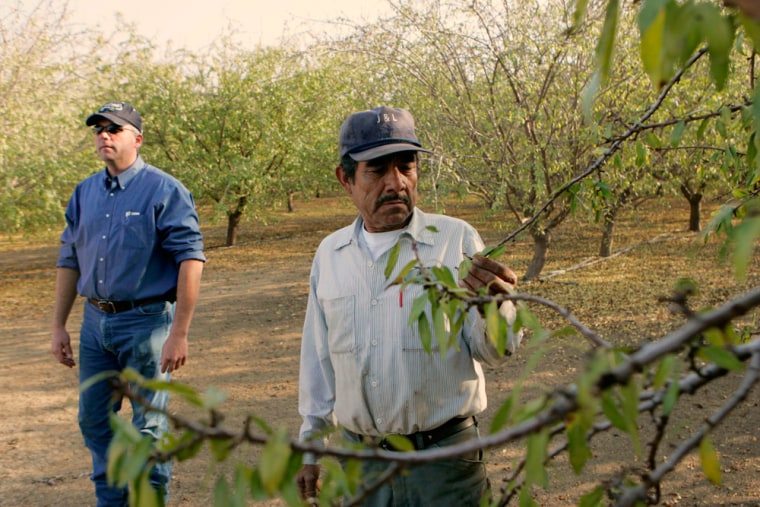 Image: Shawn Coburn and his foreman, Juan Guadian, inspect an almond orchard in Mendota, California.