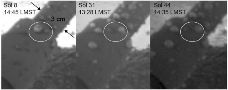 Images of one of Phoenix's struts taken by the lander's robotic arm camera on Sols (or Martian days) 8, 31 and 44 of th emission. The two spheroids enclosed by the circle appear to merge with each other, which some Phoenix scientists argue is a sign that the globs are liquid water. 