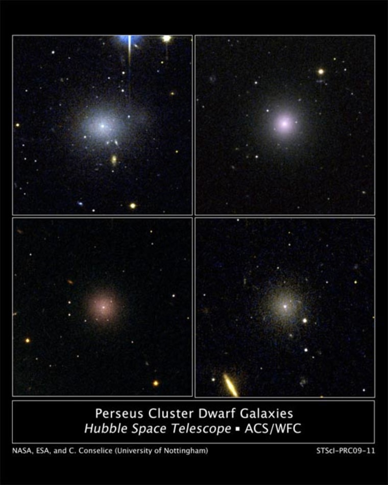These four dwarf galaxies are part of a census of small galaxies in the tumultuous heart of the nearby Perseus galaxy cluster. The images, taken by NASA's Hubble Space Telescope, are evidence that the undisturbed galaxies are enshrouded by a \"cushion\" of dark matter, which protects them from their rough-and-tumble neighborhood. Credit: NASA, ESA, and C. Conselice and S. Penny (University of Nottingham)