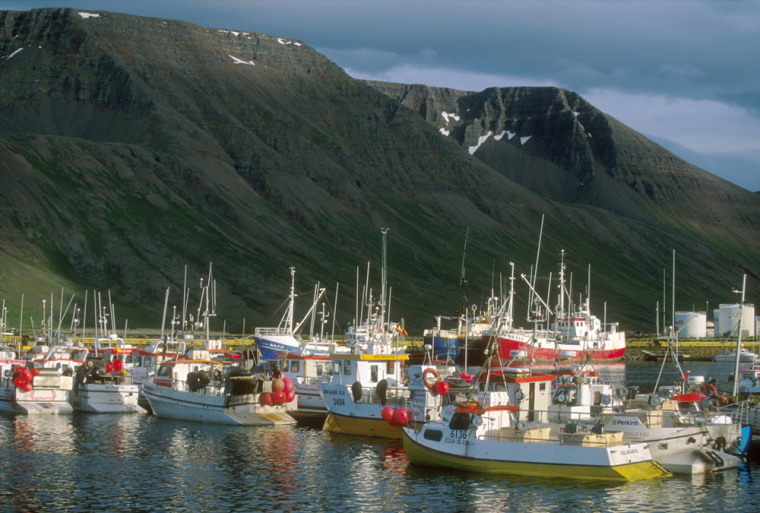 Image: Fishing boats in the Westfjords of Iceland