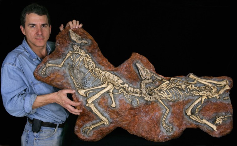 Image: Prof. Paul Sereno holds a plaque cast of two juvenile skeletons of the ostrich-mimic dinosaur sinornithomimus