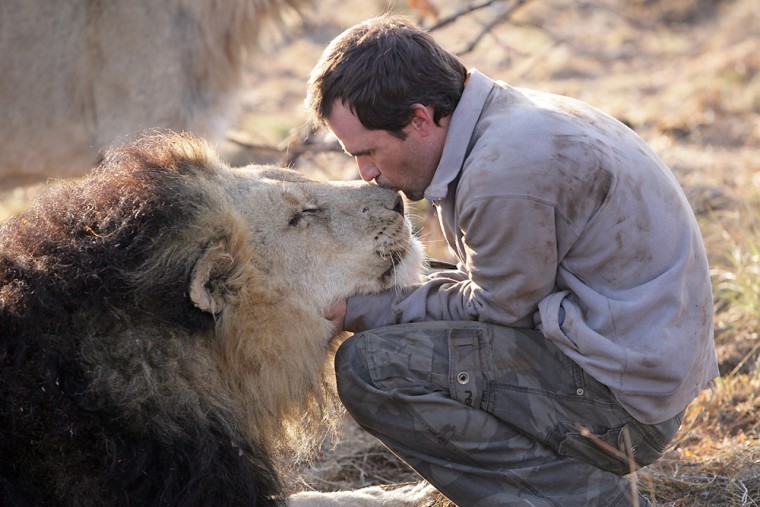 Kevin Richardson - Who is the Lion Whisperer of South Africa?