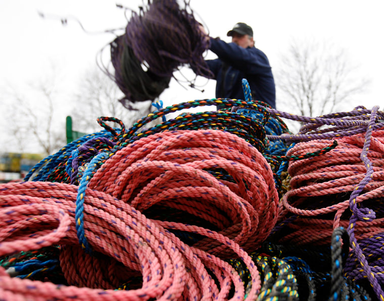 A lobsterman throws fishing rope onto a pile in Rockland, Maine, on March 27. Come Sunday, a new federal regulation outlaws the use of floating rope that connects millions of lobster traps on the ocean bottom and sometimes entangles endangered North Atlantic right whales.