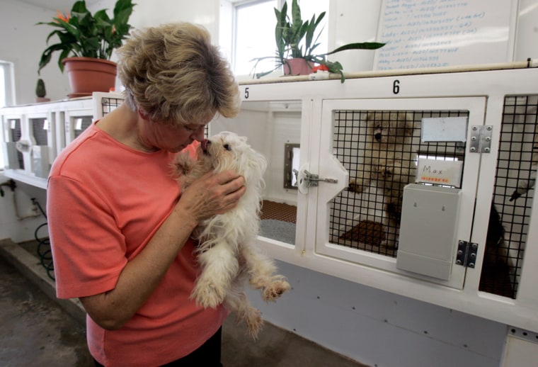 Image: Loeb-A-Rosa Kennels owner Louise Loeb holds a puppy.