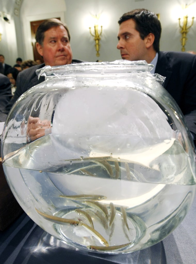 Image: A fishbowl sits atop a table during a House hearing on the California drought in Washington