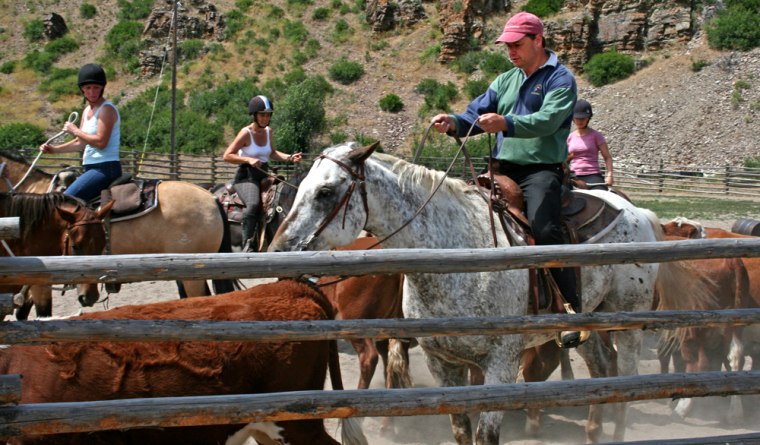 Richard Williams of Eastbourne, England, takes the reins of a horse at Montana's Rocking Z Ranch Friday July 17, 2009. Dude ranching has helped ranch owners Zack and Patty Wirth remain on the property, where amenities bring more money than traditional commodities such as cattle. (AP Photo/Susan Gallagher)