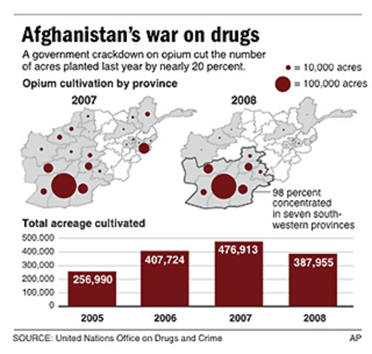Image: Afghanistan opium