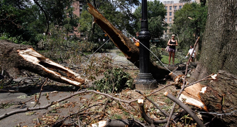 Image: A woman looks at downed trees in New York's Central Park