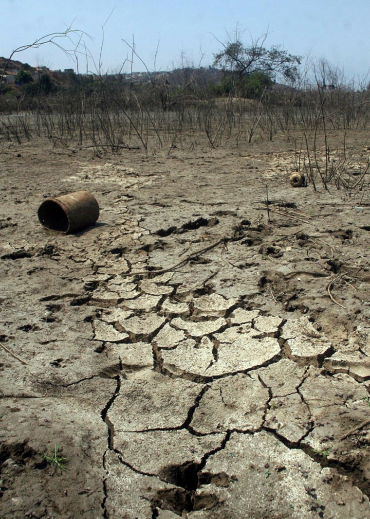 Mexico drought killing cattle, forcing water cuts