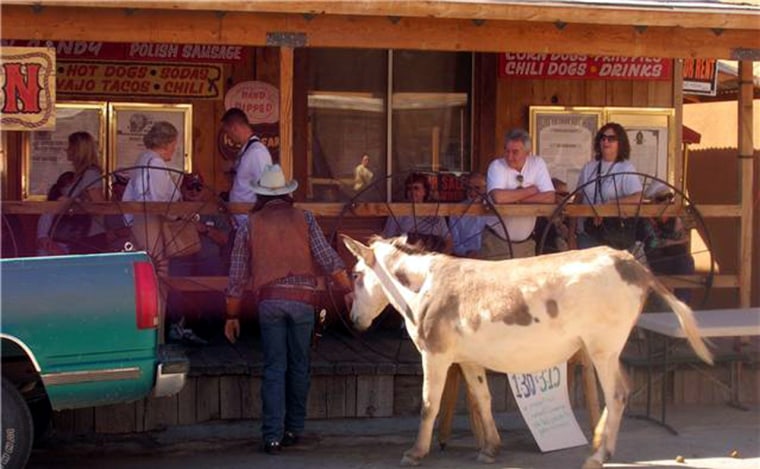 Image: Burros in Arizona