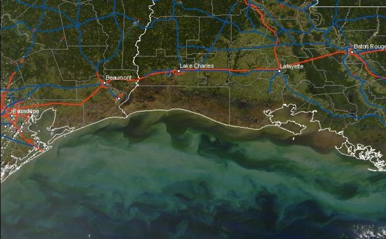 This satellite-based image shows brown areas along the Texas and Louisiana coasts where vegetation has been killed off by saltwater after Hurricane Ike pushed seawater inland. The brown area in the gulf indicates sediment taken from the coast when surge waters flowed back out.