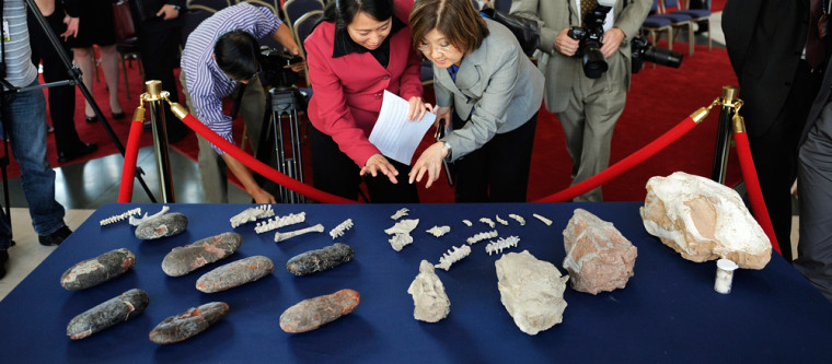 Image: Journalists look at a table full of fossils