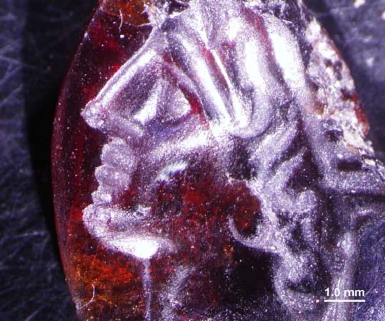 Image: A gemstone engraved with the portrait of Alexander the Great was uncovered during excavations in Israel. The