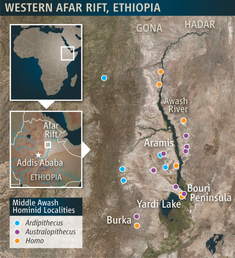Image: Map of Western Afar Rift