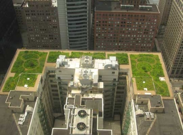 Image: Green roofs