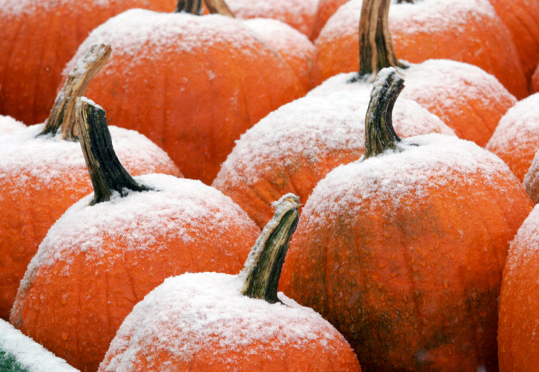 Image: Snow flakes coat pumpkins