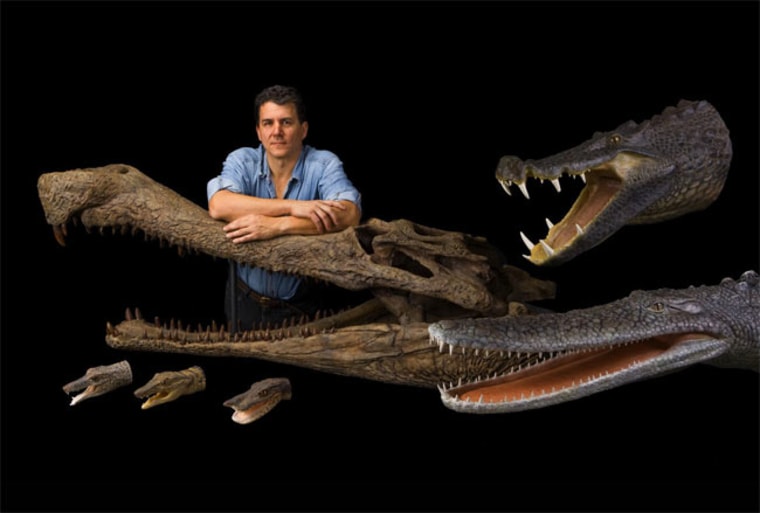 Paleontologist Paul Sereno and his colleagues unearthed a bizarre bunch of crocodile remains in the Sahara. The crocs sported snouts and other traits that resembled some modern-day animals and inspired nicknames, including SuperCroc (weighed 8 tons), BoarCroc (upper right), PancakeCroc (lower right), RatCroc, DogCroc and DuckCroc. 