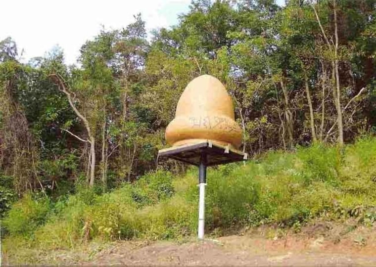Image: UFO mockup