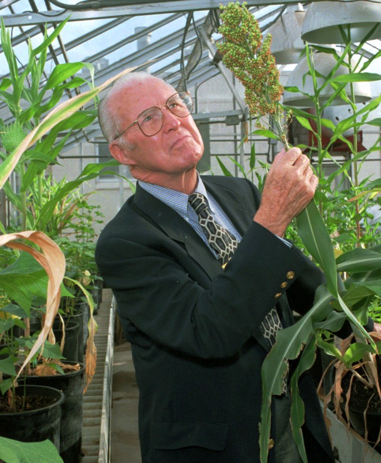 Image:  Norman Borlaug