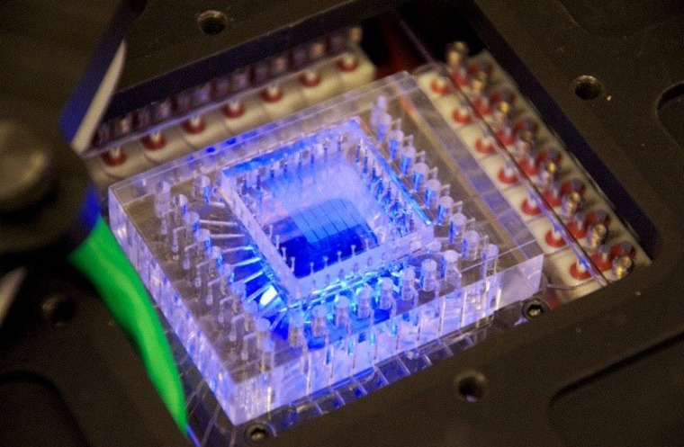 Image:   Chip inside SETG instrument