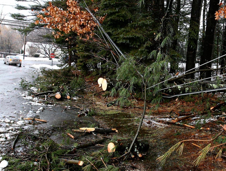Image: Fallen trees hang on utility wires in East Derry, N.H.