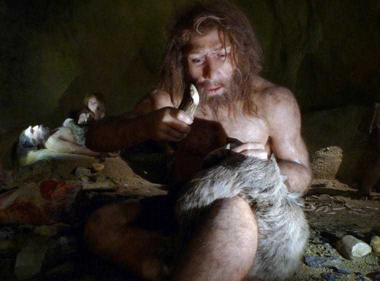 Image: An exhibit shows the life of a neanderthal family in a cave in the new Neanderthal Museum in the northern town of Krapina