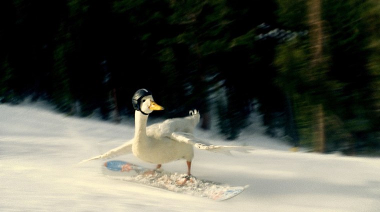 Image: AFLAC duck skiing