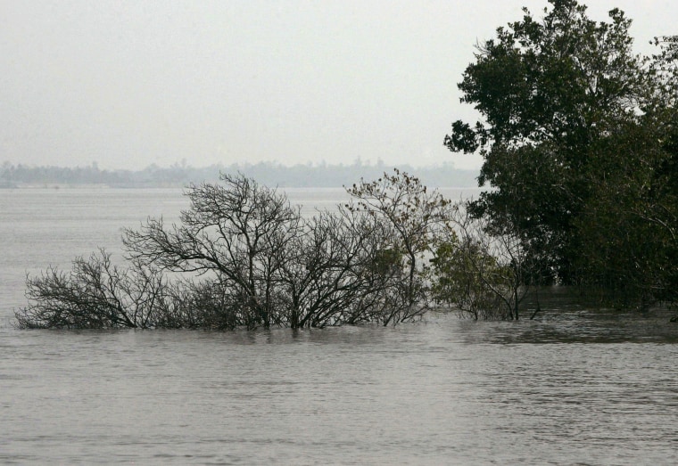 Image: Sundarban delta