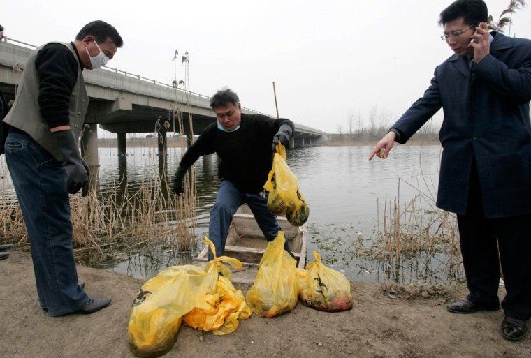 Image: Officer from local health bureau carries dead babies found dumped in a river on the outskirts of Jining