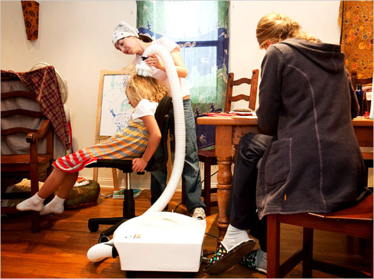 One louse, ick. Two lice, call for help!