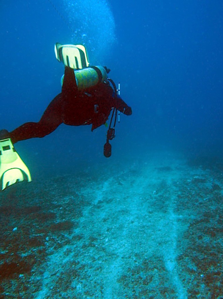 Image: Scuba diver inspecting damaged area of the Great Barrier Reef