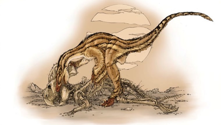 Image: Velociraptor