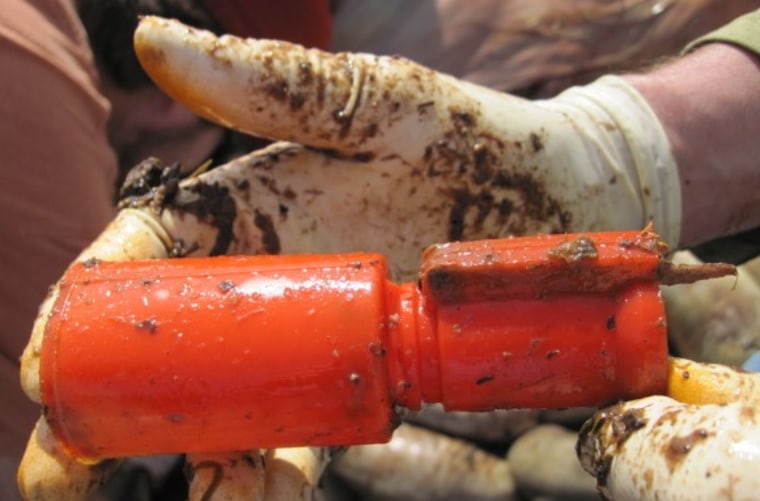 This mystery object was among the items found inside a whale that died on a Seattle beach.