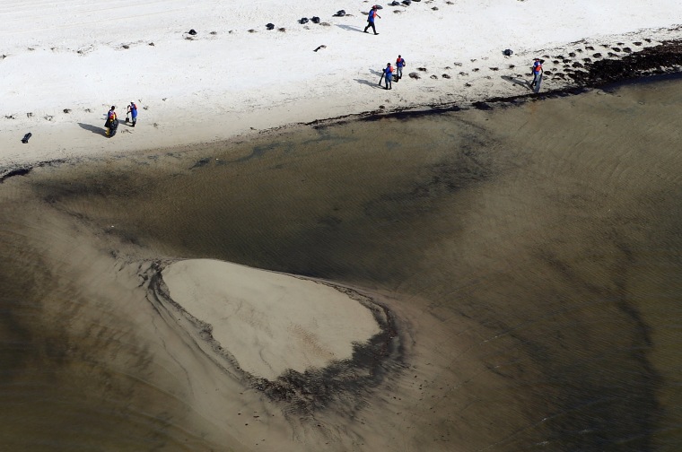 Image: Workers gather oil-soaked algae on the beach in Gulfport, Mississippi